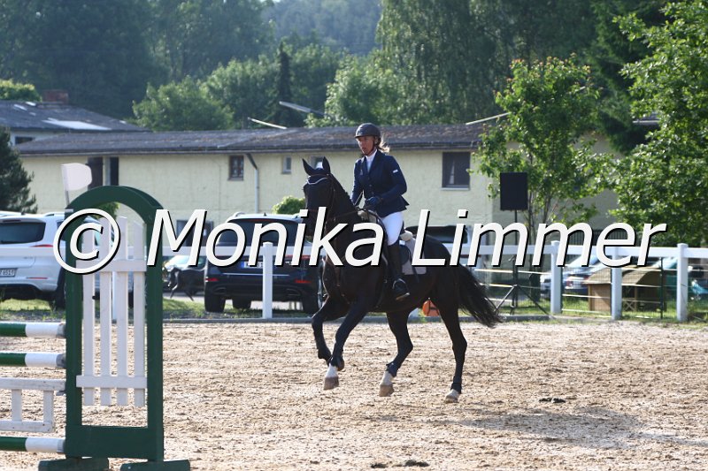 006M6215_Fantastic Touch_Springpferde A.JPG